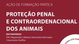 cartaz 7nov2018