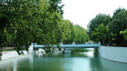 leiria.rioo 
