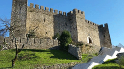 noticias leiria 33