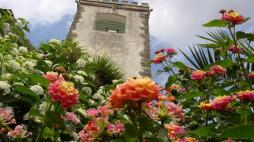 torre.f.vinhos