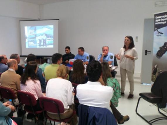 interesses difusos