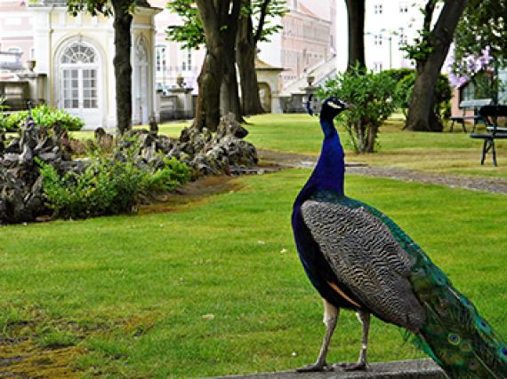 jardim-palacio